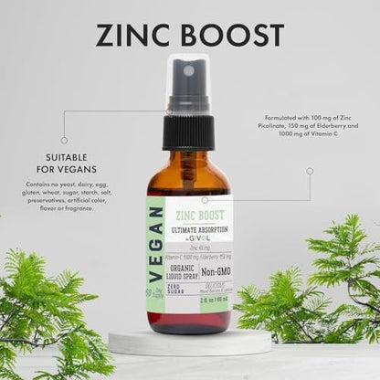 GIVOL Bio Zink Boost Spray 40 mg (Extra Stärke) - Zuckerfrei mit Vitamin C und Holunderextrakt - Veganer Flüssigspray für Kinder und Erwachsene - Leichte Aufnahme - Non-GMO - (60 ml) 60 Tage Vorrat