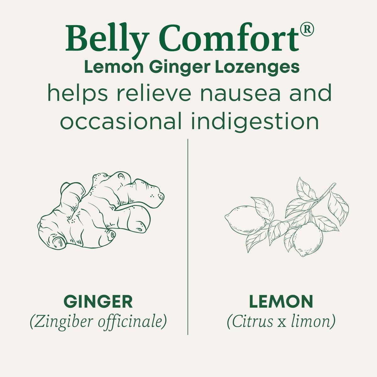 Traditional Medicinals Bio Belly Comfort Lutscher, Zitronen-Ingwer – Unterstützt Übelkeitslinderung und gelegentliche Verdauungsstörungen – Nicht-GVO, stimulanzienfrei – 30 einzeln verpackte Lutscher