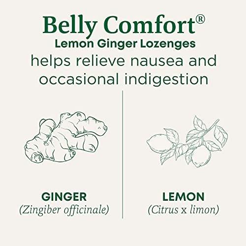 Traditional Medicinals Bio Belly Comfort Lutscher, Zitronen-Ingwer – Unterstützt Übelkeitslinderung und gelegentliche Verdauungsstörungen – Nicht-GVO, stimulanzienfrei – 30 einzeln verpackte Lutscher