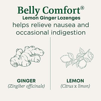 Traditional Medicinals Bio Belly Comfort Lutscher, Zitronen-Ingwer – Unterstützt Übelkeitslinderung und gelegentliche Verdauungsstörungen – Nicht-GVO, stimulanzienfrei – 30 einzeln verpackte Lutscher