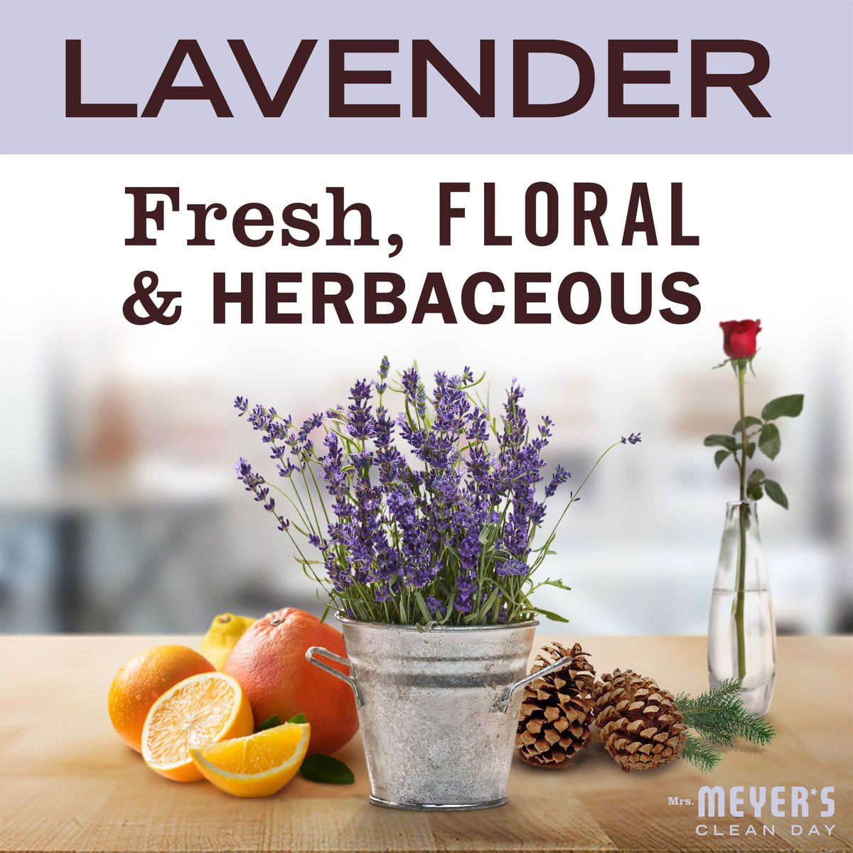 MRS. MEYER'S CLEAN DAY Soja-Tin-Kerze – Lavendel, 12 Stunden Brenndauer, 2,9 Unzen