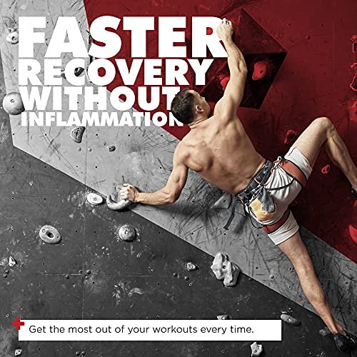 ONL Red Wolf Testosteron-Booster für Männer – Ultimative männliche Stärkung und Fruchtbarkeitsergänzung für Vitalität, Muskelwachstum und Energie mit Tongkat Ali, Bockshornklee, Maca – 1-Monatsvorrat