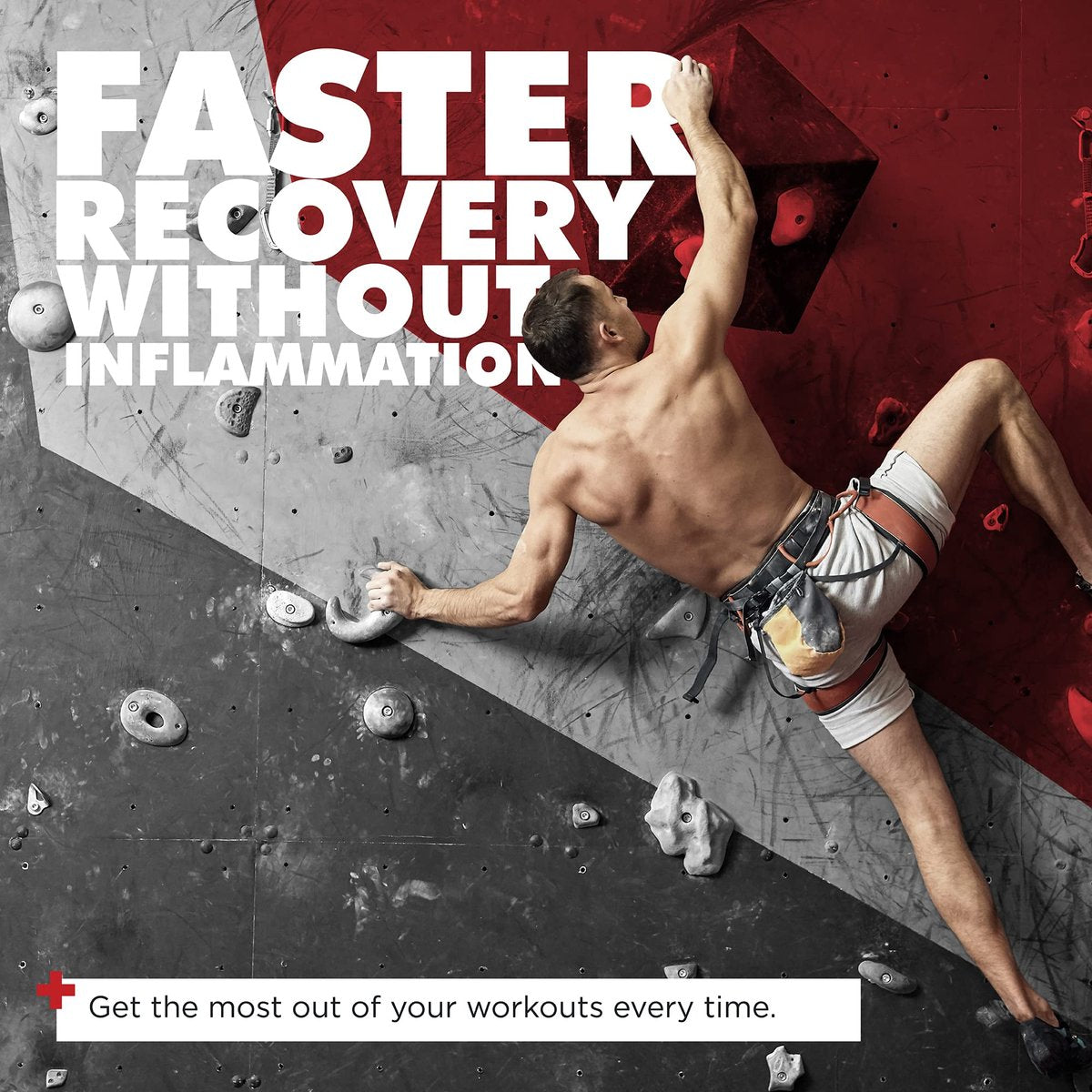 ONL Red Wolf Testosteron-Booster für Männer – Ultimative männliche Stärkung und Fruchtbarkeitsergänzung für Vitalität, Muskelwachstum und Energie mit Tongkat Ali, Bockshornklee, Maca – 1-Monatsvorrat