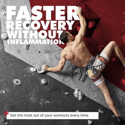ONL Red Wolf Testosteron-Booster für Männer – Ultimative männliche Stärkung und Fruchtbarkeitsergänzung für Vitalität, Muskelwachstum und Energie mit Tongkat Ali, Bockshornklee, Maca – 1-Monatsvorrat