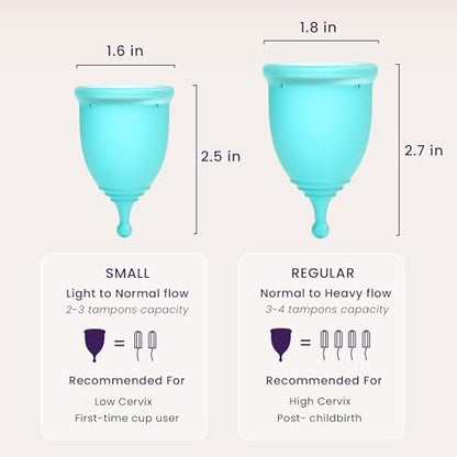 EcoBlossom Wiederverwendbarer Menstruationsbecher-Set – Die zuverlässigsten Periodenbecher aus medizinischem Silikon – Bequem 12 Stunden tragbar (Klein & Groß)