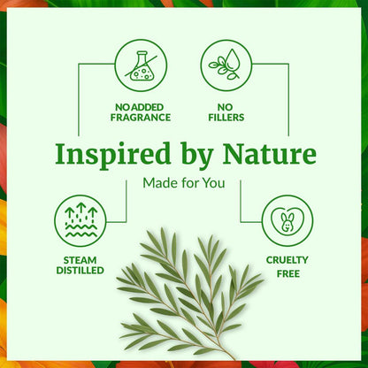 SVA Tea Tree Öl – 118 ml – 100% natürliches Teebaumöl – für Diffuser, Haarpflege, Gesicht, Hautpflege, Aromatherapie, Kopfhaut- und Körpermassage, Seifen- und Kerzenherstellung – mit Pipette