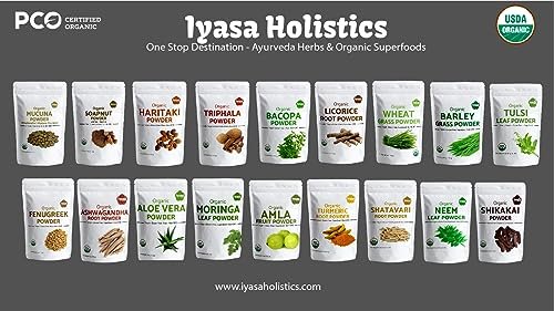 Iyasa Holistics Bio Moringa Blattpulver 113 g - USDA Bio-zertifiziertes reines Moringa Oleifera Superfood Pulver - Grüner Smoothie, Tee, Energie-Booster - Reine Ayurveda Produkte