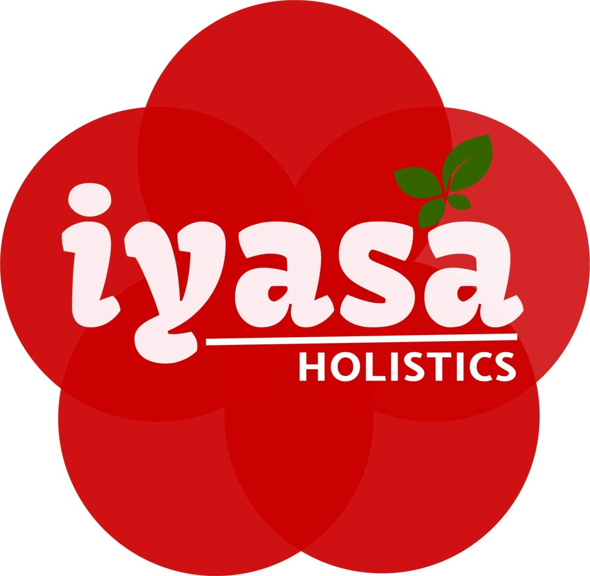 Iyasa Holistics Bio Moringa Blattpulver 113 g - USDA Bio-zertifiziertes reines Moringa Oleifera Superfood Pulver - Grüner Smoothie, Tee, Energie-Booster - Reine Ayurveda Produkte