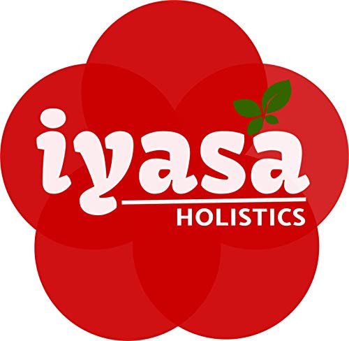 Iyasa Holistics Bio Moringa Blattpulver 113 g - USDA Bio-zertifiziertes reines Moringa Oleifera Superfood Pulver - Grüner Smoothie, Tee, Energie-Booster - Reine Ayurveda Produkte