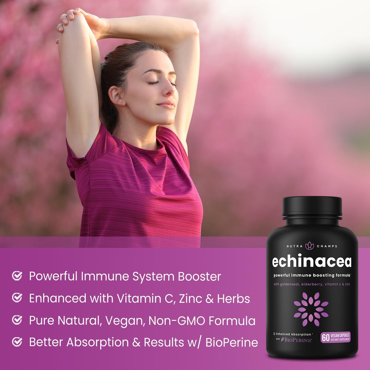 NutraChamps Echinacea Kapseln 1000mg – 8-in-1 Immunsystem Unterstützung – mit Goldenseal, Vitamin C, Zink, Ingwer, Holunder – 60 Kapseln