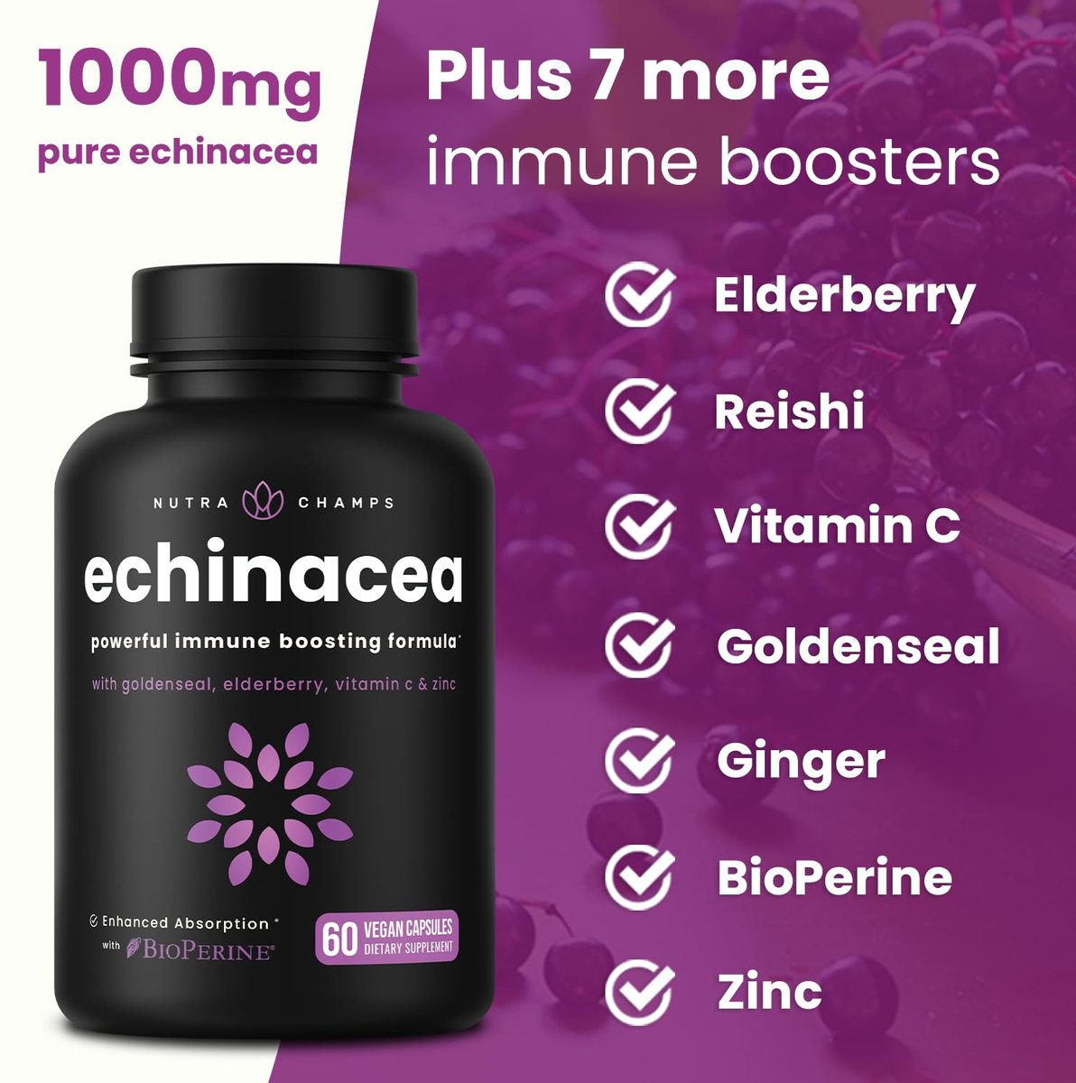 NutraChamps Echinacea Kapseln 1000mg – 8-in-1 Immunsystem Unterstützung – mit Goldenseal, Vitamin C, Zink, Ingwer, Holunder – 60 Kapseln