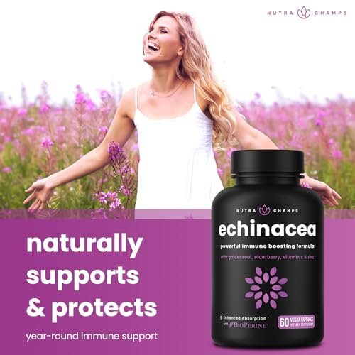 NutraChamps Echinacea Kapseln 1000mg – 8-in-1 Immunsystem Unterstützung – mit Goldenseal, Vitamin C, Zink, Ingwer, Holunder – 60 Kapseln