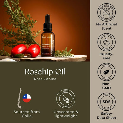 Gya Labs Rosenöl - 30 ml - Trägeröl für Haare, Haut, Gesicht, Kopfhaut & Körpermassage