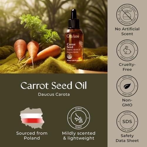 Gya Labs USDA Bio Karottensamenöl – 30 ml Trägeröl für Haare, Haut, Gesicht, Kopfhaut & Körpermassage