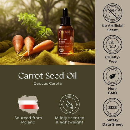 Gya Labs USDA Bio Karottensamenöl – 30 ml Trägeröl für Haare, Haut, Gesicht, Kopfhaut & Körpermassage