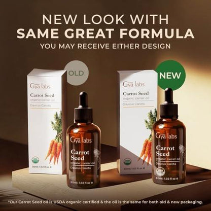 Gya Labs USDA Bio Karottensamenöl – 30 ml Trägeröl für Haare, Haut, Gesicht, Kopfhaut & Körpermassage