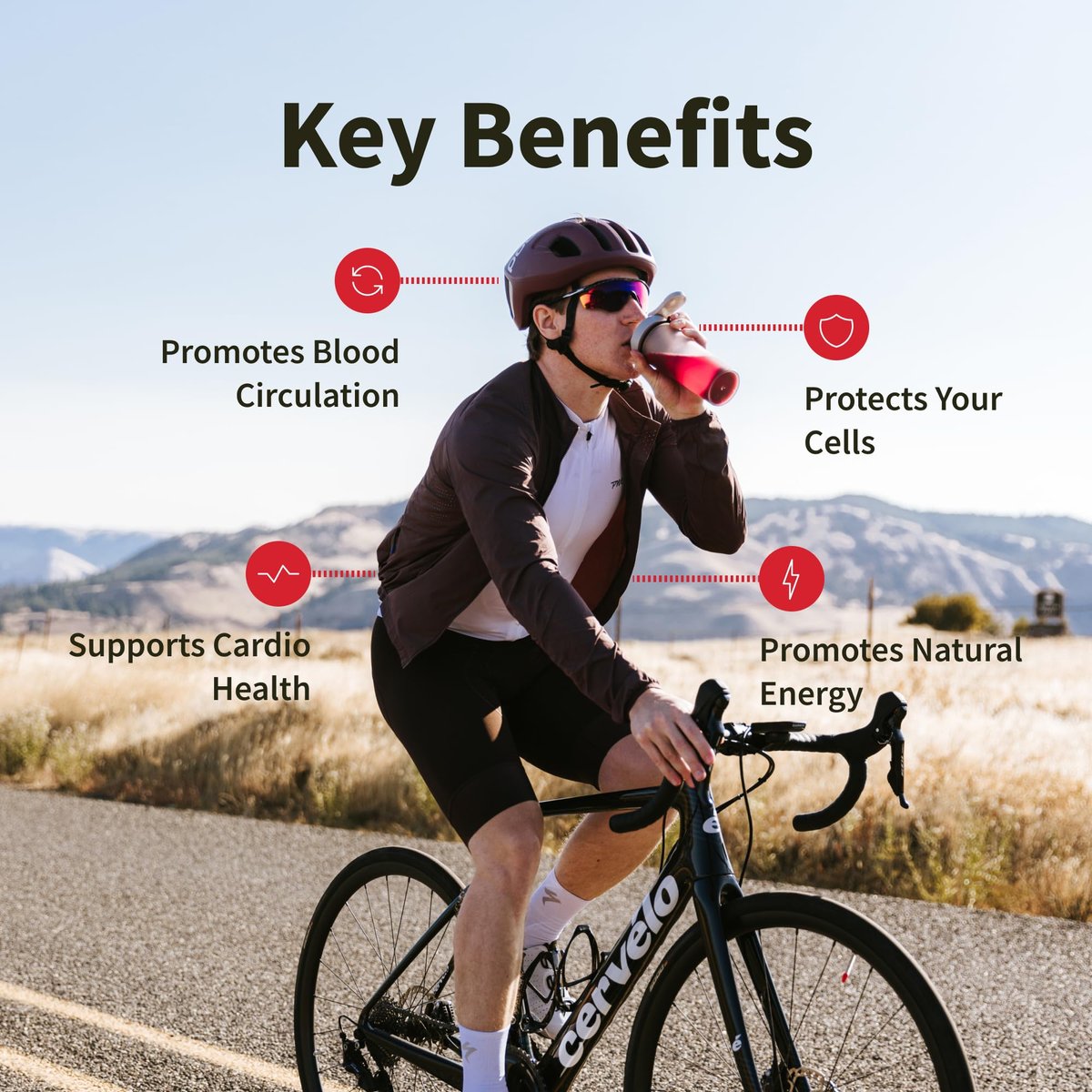 Snap Supplements Bio-Rote Bete-Pulver – Stick-Packs mit gemischten Beeren, 10er-Pack, zur Unterstützung von gesundem Blutdruck und Energie