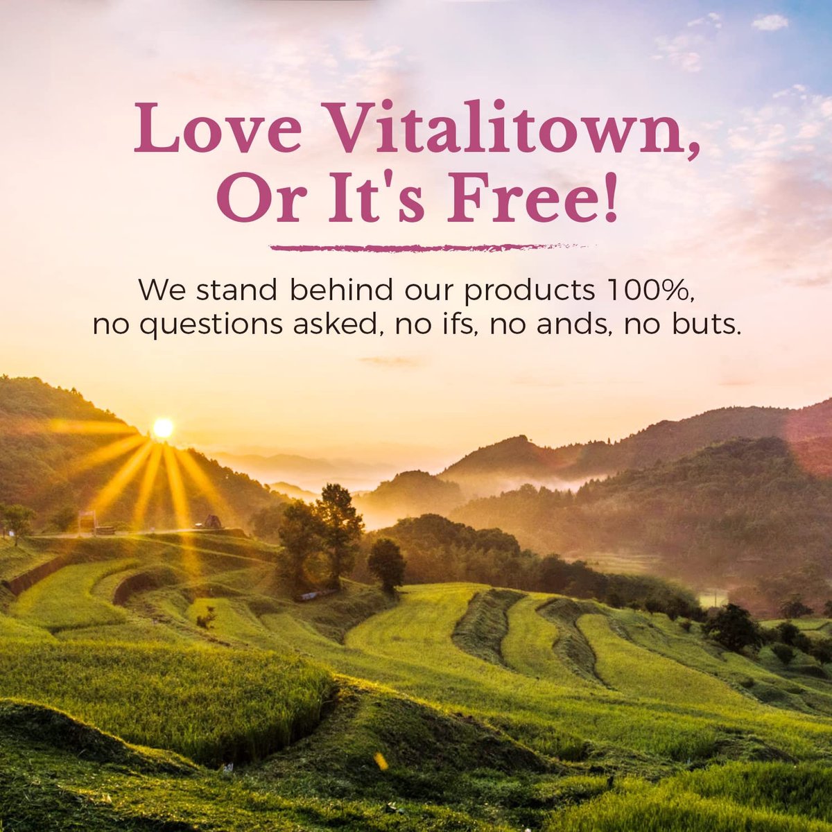 Vitalitown Probiotika für Frauen – 120 Milliarden KBE, 30 Stämme, mit Präbiotika, Verdauungsenzyme & Cranberry, für Darm- & Vaginalgesundheit, vegan, 30 Kapseln (1er-Pack) mit verzögerter Freisetzung
