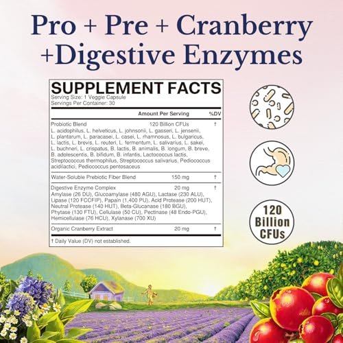 Vitalitown Probiotika für Frauen – 120 Milliarden KBE, 30 Stämme, mit Präbiotika, Verdauungsenzyme & Cranberry, für Darm- & Vaginalgesundheit, vegan, 30 Kapseln (1er-Pack) mit verzögerter Freisetzung