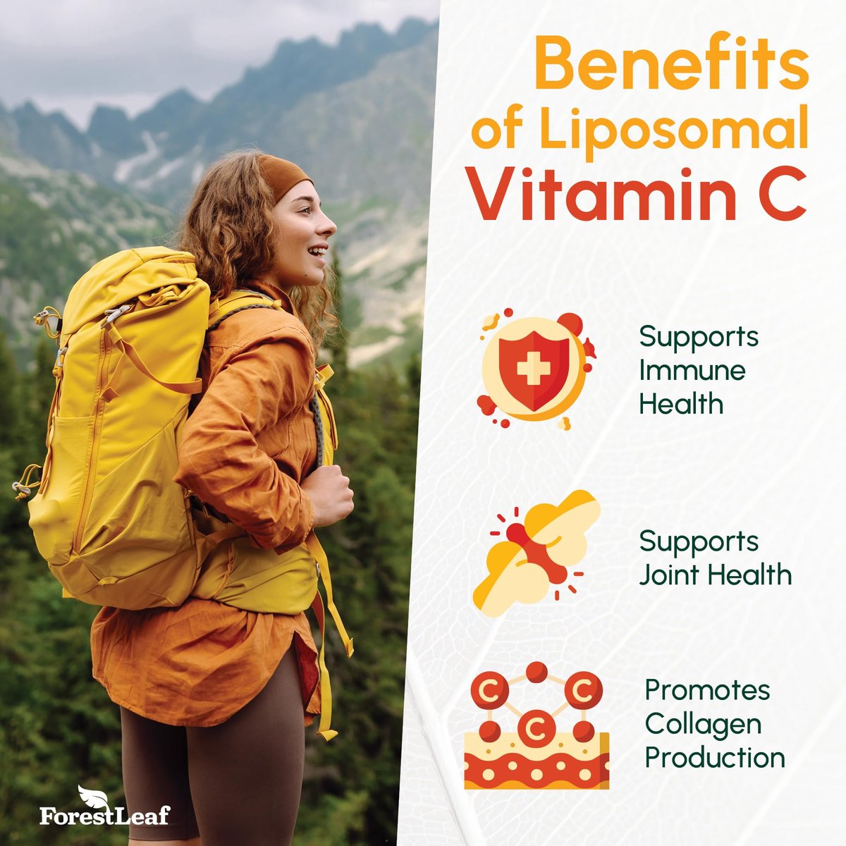 ForestLeaf Liposomales Vitamin C 1400mg Kapseln - Hochdosiertes Vitamin C mit Kokosöl-Fettsäuren für schnelle Aufnahme - Unterstützt Immunsystem, Antioxidans, Kollagenproduktion - 120 vegane Kapseln