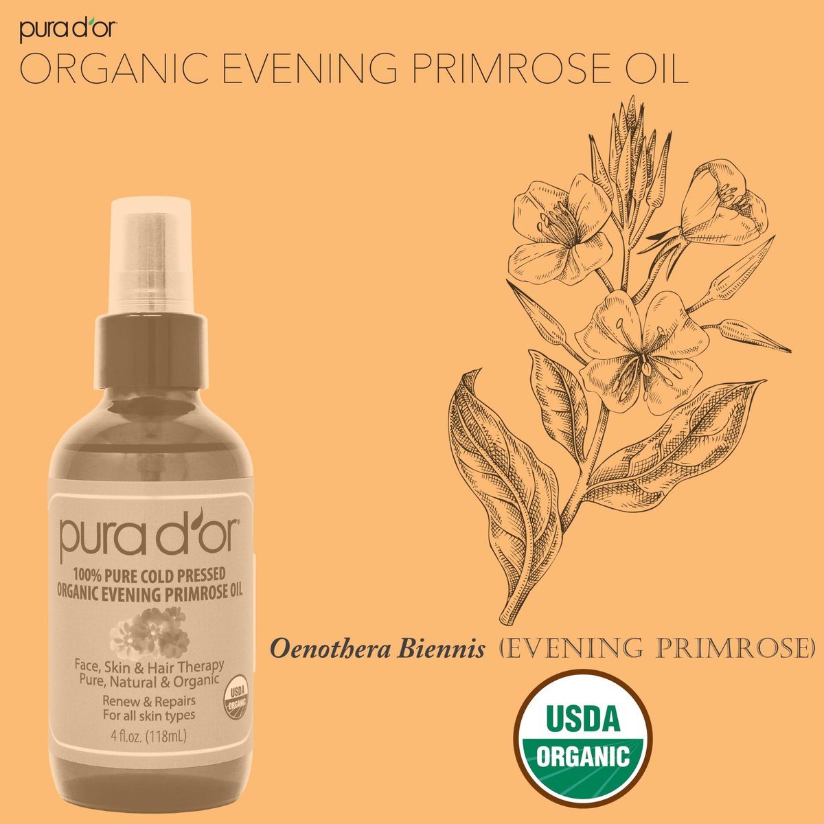 PURA D'OR Bio Nachtkerzenöl (120 ml) – 100% reines, kaltgepresstes Trägeröl mit essentiellen Fettsäuren & Antioxidantien – Feuchtigkeitsspendend, regenerierend, pflegend – für Haut, Haare & Gesicht