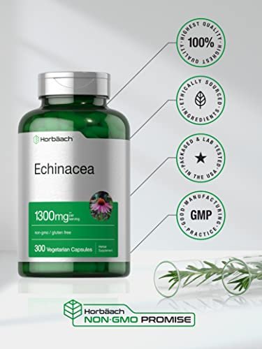 Horbäach Echinacea Extrakt Kapseln | 300 Stück | Vegan, Nicht-GVO, Glutenfrei