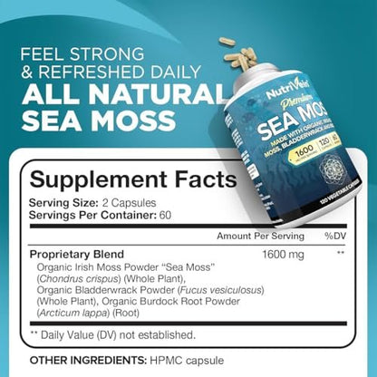 Nutrivein Bio-Organisches Sea Moss 1600 mg plus Bladderwrack & Klette – 120 Kapseln – Präbiotisches Superfood für Immunsystem, Verdauung, Schilddrüse, Haut, Gelenke – Keto & Detox Unterstützung