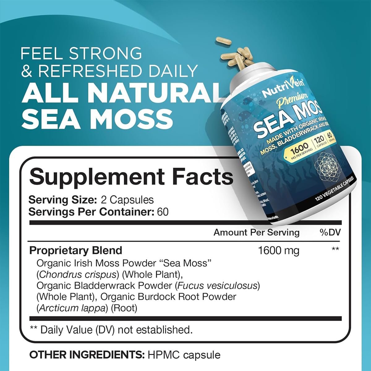 Nutrivein Bio-Organisches Sea Moss 1600 mg plus Bladderwrack & Klette – 120 Kapseln – Präbiotisches Superfood für Immunsystem, Verdauung, Schilddrüse, Haut, Gelenke – Keto & Detox Unterstützung