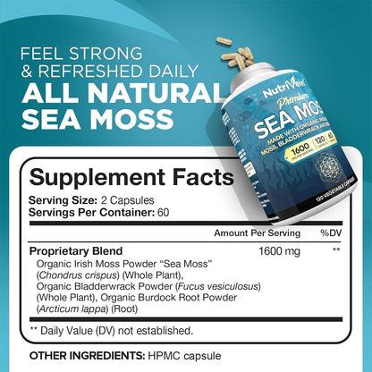 Nutrivein Bio-Organisches Sea Moss 1600 mg plus Bladderwrack & Klette – 120 Kapseln – Präbiotisches Superfood für Immunsystem, Verdauung, Schilddrüse, Haut, Gelenke – Keto & Detox Unterstützung