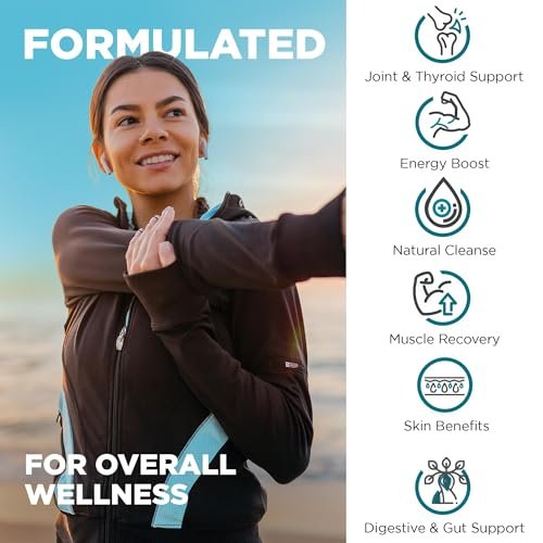 Nutrivein Bio-Organisches Sea Moss 1600 mg plus Bladderwrack & Klette – 120 Kapseln – Präbiotisches Superfood für Immunsystem, Verdauung, Schilddrüse, Haut, Gelenke – Keto & Detox Unterstützung