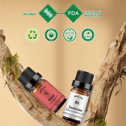 yethious Rosen- und Jasmin-Öl-Set – 2x10 ml Ätherische Öle für Diffuser, Haut, Haare, Körper, Gesicht, Parfüm, Seife, Kerzenherstellung