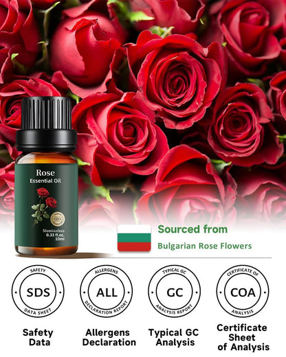 Rosenöl, 100 % rein & natürlich – Reines Rosenöl für Aromatherapie-Diffuser, Haut- & Haarpflege, Parfüm, Seifen- & Kerzenherstellung, 0,33 Fl Oz / 10 ml Mumianhua