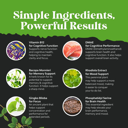 Nootropikum Gedächtnisergänzung für Gehirnunterstützung - Gedächtnispillen für Gehirnboost und natürlichen Energie-Booster - Vitamin B12 Bacopa Monnieri Rhodiola Rosea DMAE Ginkgo Biloba Phosphatidylserin - 60 Kapseln