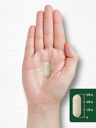 Carlyle Vitamin C 1000 mg – 300 Vegetarische Kapseln mit Hagebutte – Hochdosiert, Non-GMO & Glutenfrei