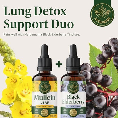 HERBAMAMA Mullein Tropfen für die Lunge – Vegane Lungenreinigung mit Mulleinblattextrakt, Echinacea-Tinktur & Süßholz – Nicht-GVO, Alkohol- & Zuckerfrei – 28-Tage-Versorgung