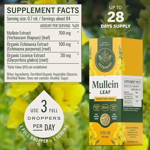 HERBAMAMA Mullein Tropfen für die Lunge – Vegane Lungenreinigung mit Mulleinblattextrakt, Echinacea-Tinktur & Süßholz – Nicht-GVO, Alkohol- & Zuckerfrei – 28-Tage-Versorgung