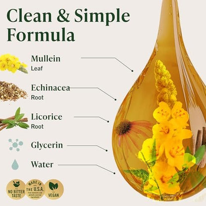 HERBAMAMA Mullein Tropfen für die Lunge – Vegane Lungenreinigung mit Mulleinblattextrakt, Echinacea-Tinktur & Süßholz – Nicht-GVO, Alkohol- & Zuckerfrei – 28-Tage-Versorgung