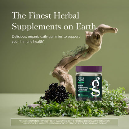 Gaia Herbs Schwarzer Holunder (Sambucus nigra) Extra Stärke Gummis - Leckere Immununterstützung - Bio-Schwarzer Holunder für das Immunsystem - 40 Gummis (20 Portionen)