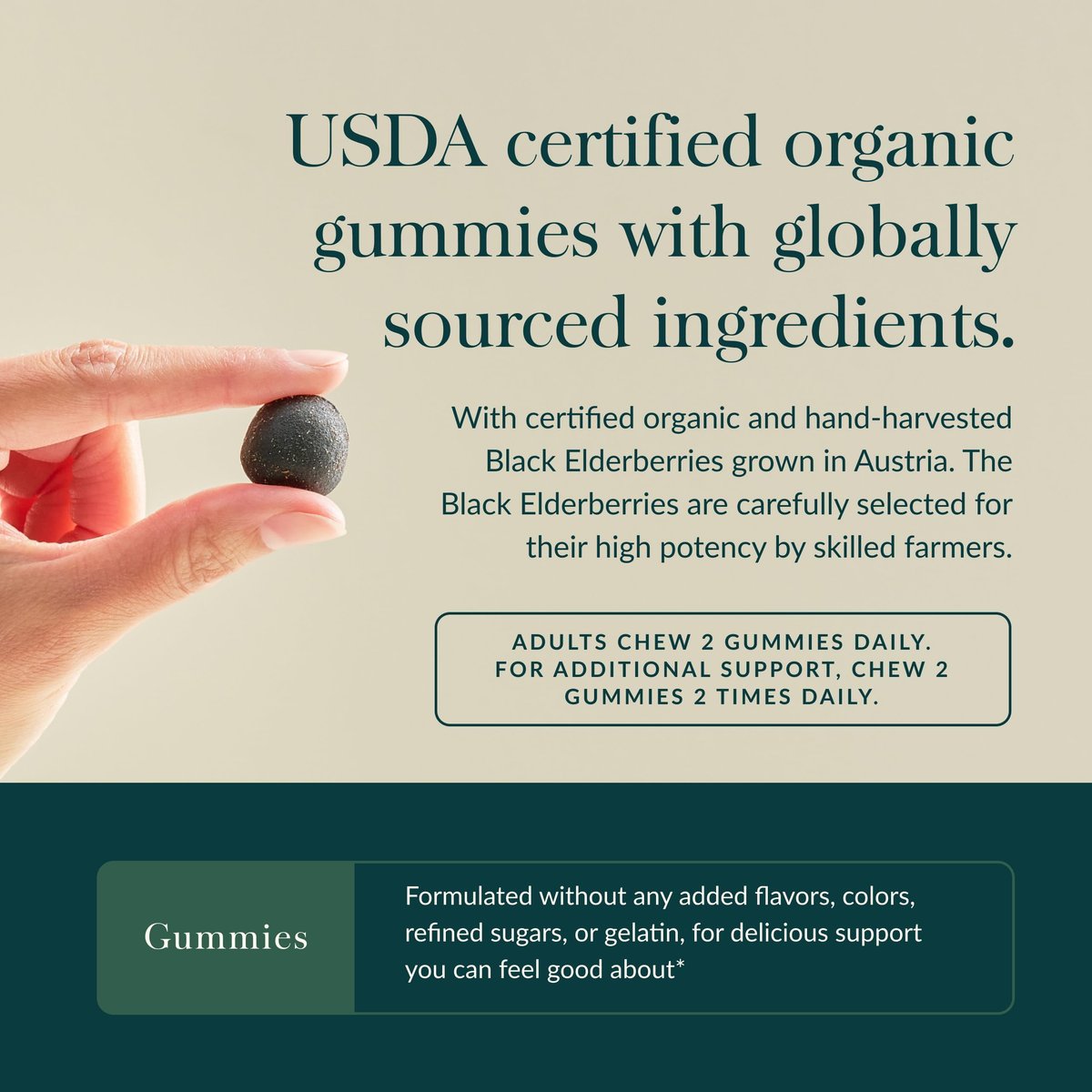 Gaia Herbs Schwarzer Holunder (Sambucus nigra) Extra Stärke Gummis - Leckere Immununterstützung - Bio-Schwarzer Holunder für das Immunsystem - 40 Gummis (20 Portionen)