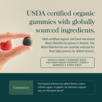 Gaia Herbs Schwarzer Holunder (Sambucus nigra) Extra Stärke Gummis - Leckere Immununterstützung - Bio-Schwarzer Holunder für das Immunsystem - 40 Gummis (20 Portionen)