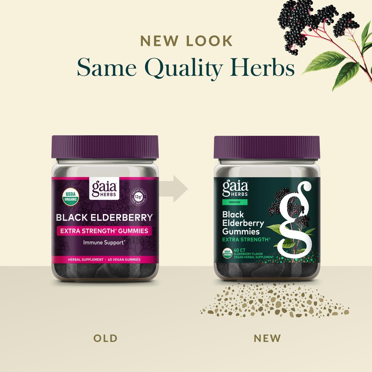 Gaia Herbs Schwarzer Holunder (Sambucus nigra) Extra Stärke Gummis - Leckere Immununterstützung - Bio-Schwarzer Holunder für das Immunsystem - 40 Gummis (20 Portionen)