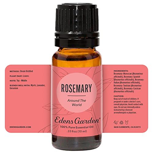 Edens Garden Rosmarin Around The World Ätherisches Öl – 100 % reine Premiumqualität, unverdünnt, natürlich, therapeutisch, Aromatherapie, das Beste für Haut, Gesicht, Luftbefeuchter, 10 ml