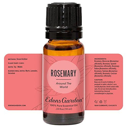 Edens Garden Rosmarin Around The World Ätherisches Öl – 100 % reine Premiumqualität, unverdünnt, natürlich, therapeutisch, Aromatherapie, das Beste für Haut, Gesicht, Luftbefeuchter, 10 ml