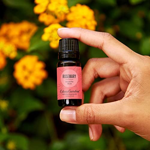 Edens Garden Rosmarin Around The World Ätherisches Öl – 100 % reine Premiumqualität, unverdünnt, natürlich, therapeutisch, Aromatherapie, das Beste für Haut, Gesicht, Luftbefeuchter, 10 ml