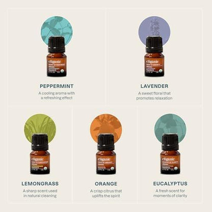 Cliganic Bio ätherische Öle Set (Top 5 - Die Klassiker) - 100% rein natürlich - Aromatherapie, Kerzenherstellung - Pfefferminze, Lavendel, Eukalyptus, Zitronengras & Orange