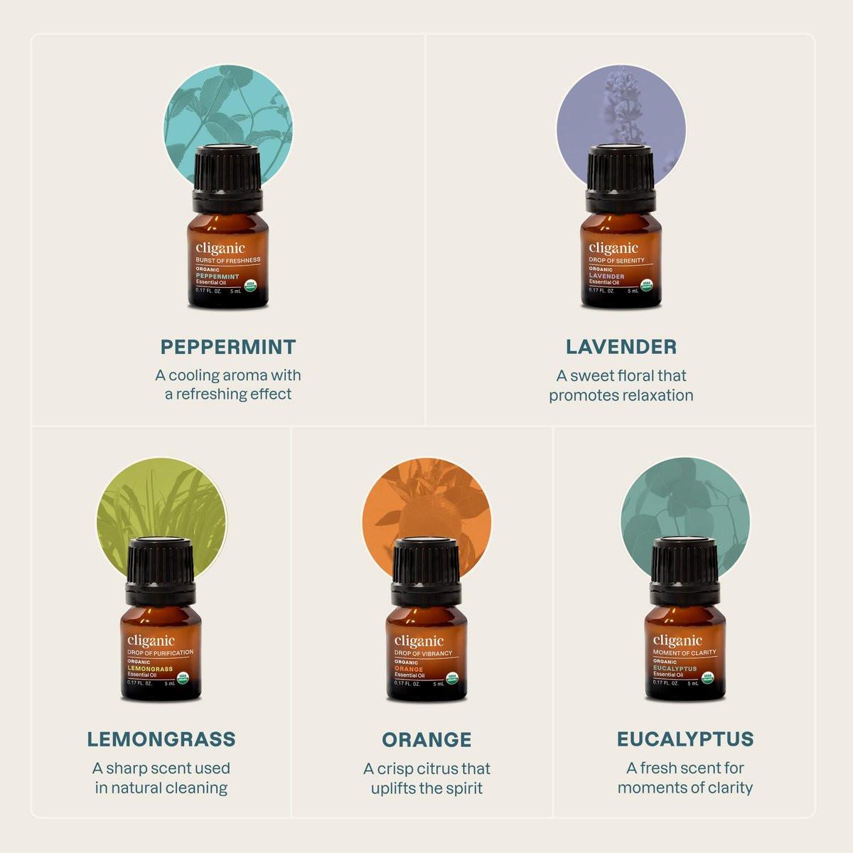 Cliganic Bio ätherische Öle Set (Top 5 - Die Klassiker) - 100% rein natürlich - Aromatherapie, Kerzenherstellung - Pfefferminze, Lavendel, Eukalyptus, Zitronengras & Orange