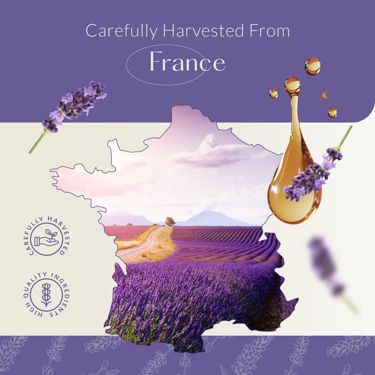 HBNO Kalifornisches Lavendelöl 120 ml - Natürliches ätherisches Öl für Haut, Reinigung, Aromatherapie, DIY & Diffuser