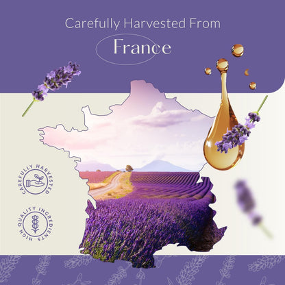HBNO Kalifornisches Lavendelöl 120 ml - Natürliches ätherisches Öl für Haut, Reinigung, Aromatherapie, DIY & Diffuser