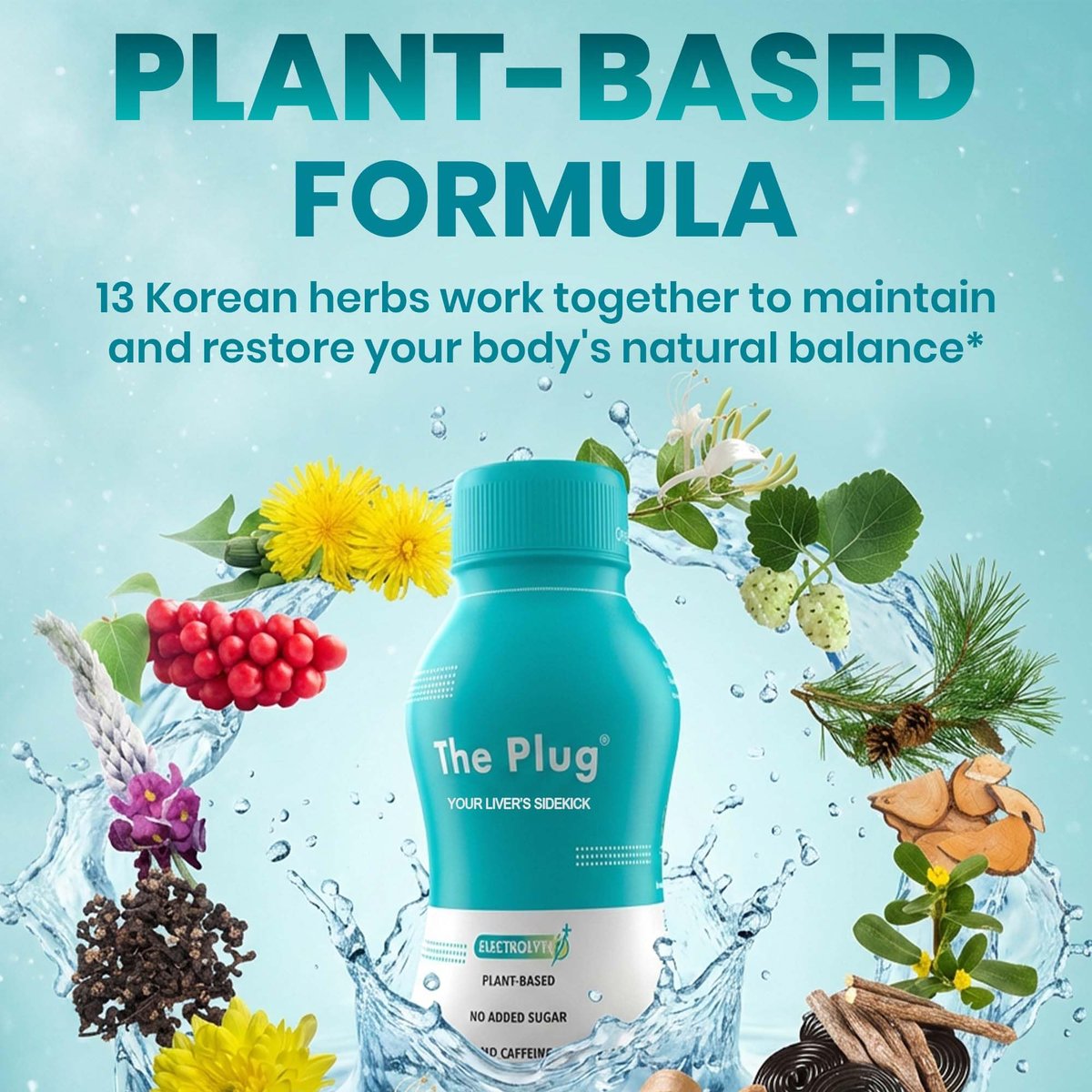 The Plug Liver Cleanse & Detox Drink | Bio-Kräuter-Flüssigergänzung mit Elektrolyten, Superfrüchten & pflanzlichen Nährstoffen | Unterstützt Hydration, Energie, Immunsystem & Lebergesundheit