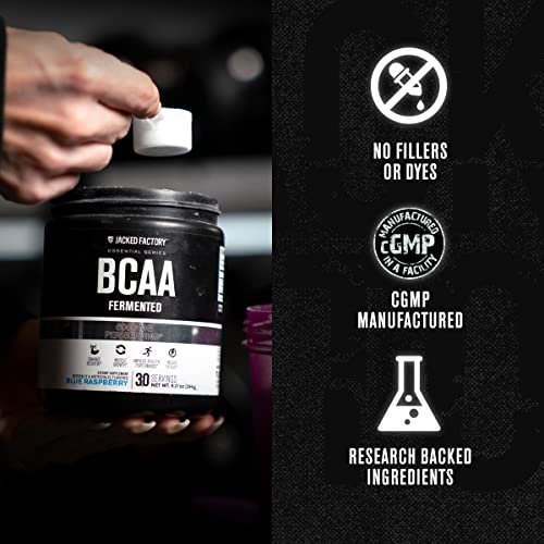 Jacked Factory BCAA Pulver (Fermentiert) - 6 g verzweigtkettige essentielle Aminosäuren für verbesserte Muskelregeneration, reduzierte Ermüdung, gesteigerte Kraft und Muskelwachstum - 30 Portionen, Fruchtpunsch